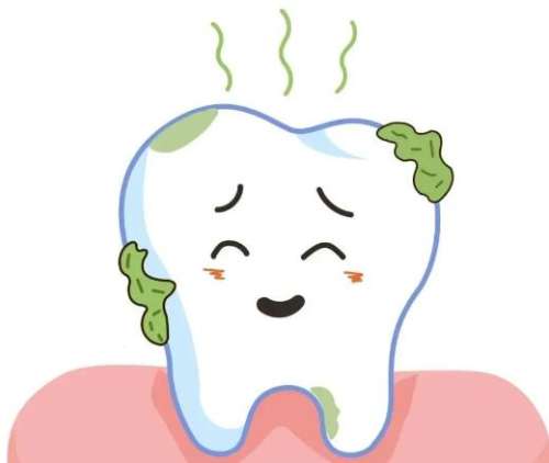 牙缝里臭味怎么清除？常见的口气问题原因